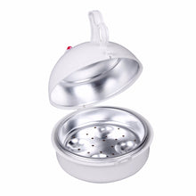 NOVELTY Eggs Boiler